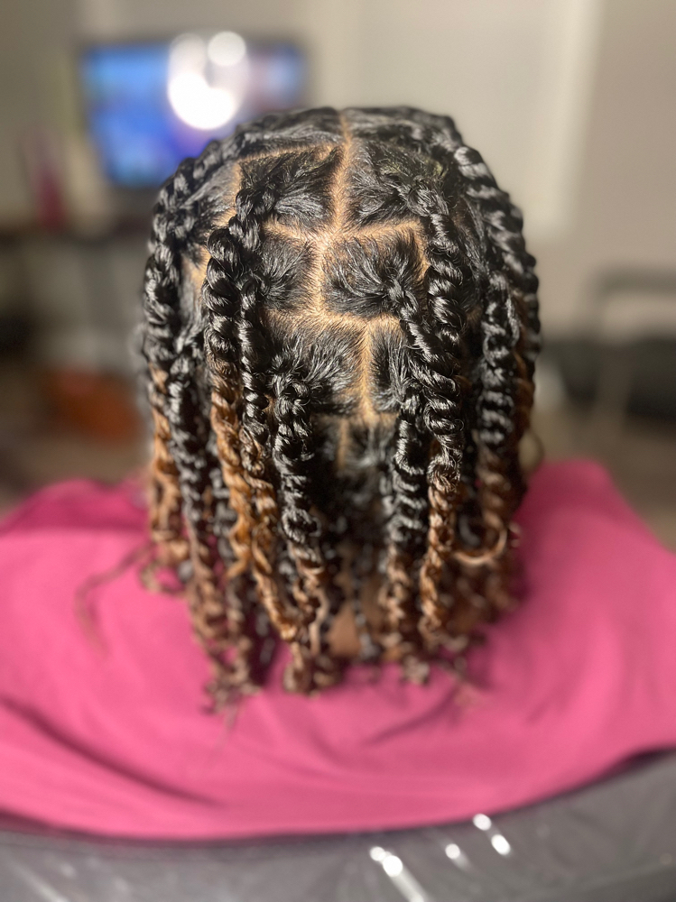 Two Strand Twists (natural hair)