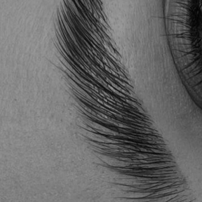 Laminated Brow Sculpt