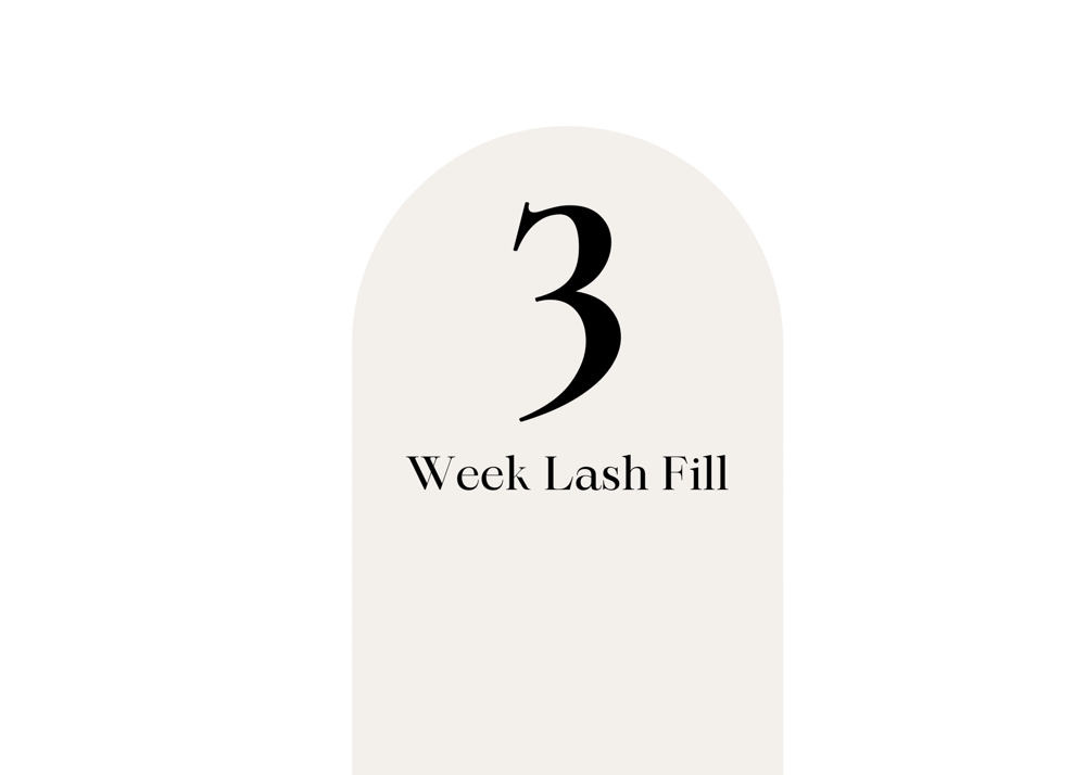 3 Week Lash Fill