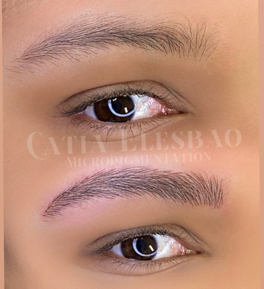 Touch-up (microblading)