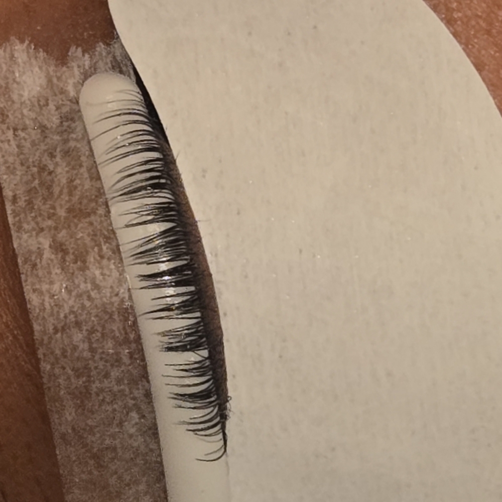 Keratin Lash Lift. at CANELA STUDIO in CLIFTON PARK, NY