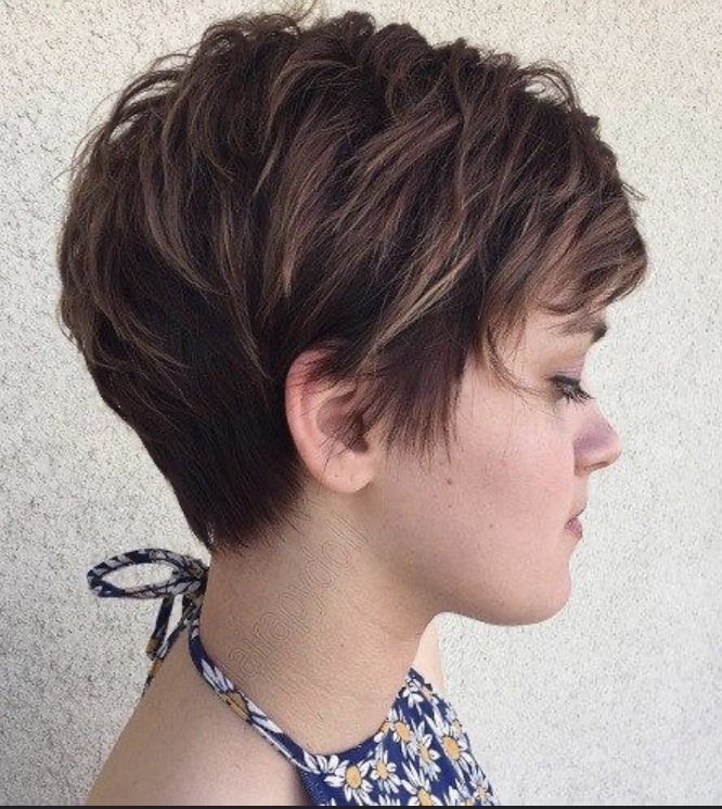 Women’s Haircut