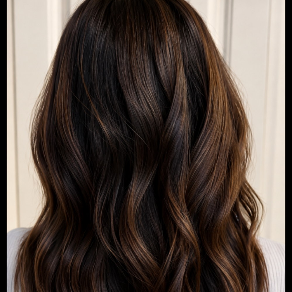 Color Touch-Up + Haircut at Lisa V Hair & Makeup Studio in Fresno, CA