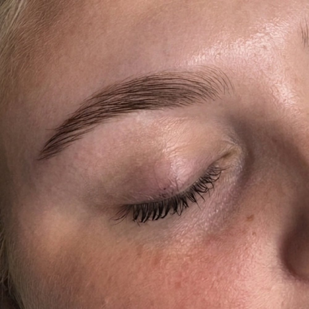 Brow Tint + Wax at The Nail Hub in Uniontown, PA