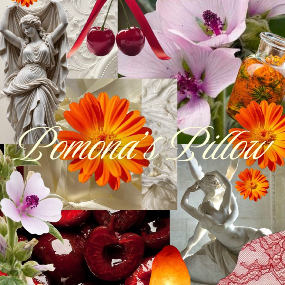 Pomona's Pillow at Aura Esthetics by Kassandra in Worcester, MA