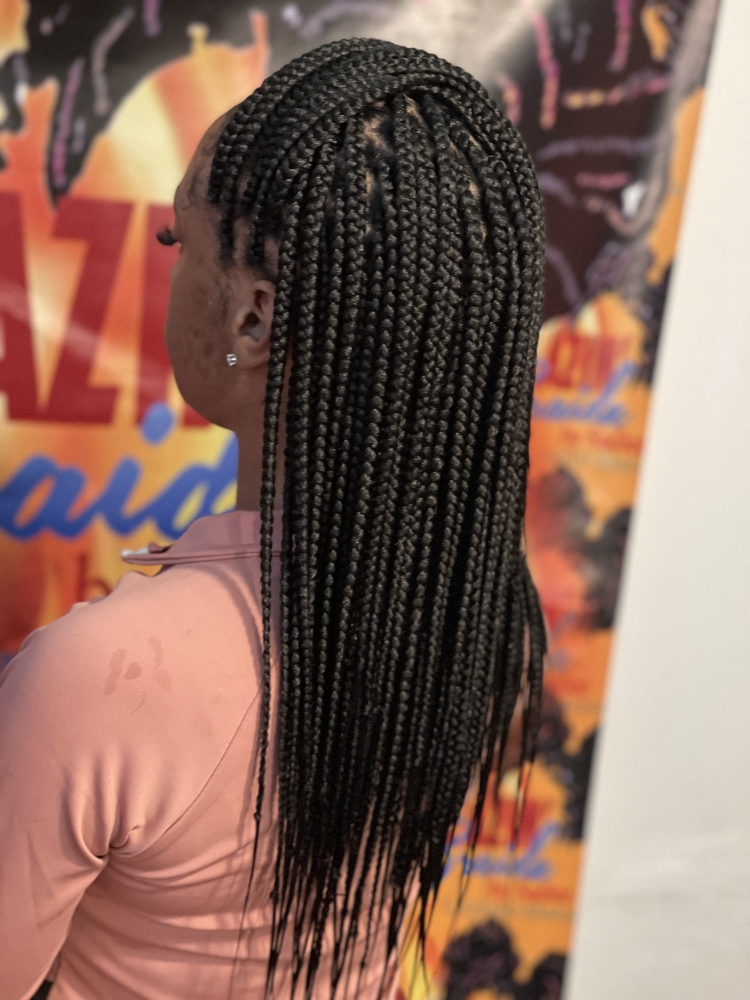 Small Knotless Box Braidz