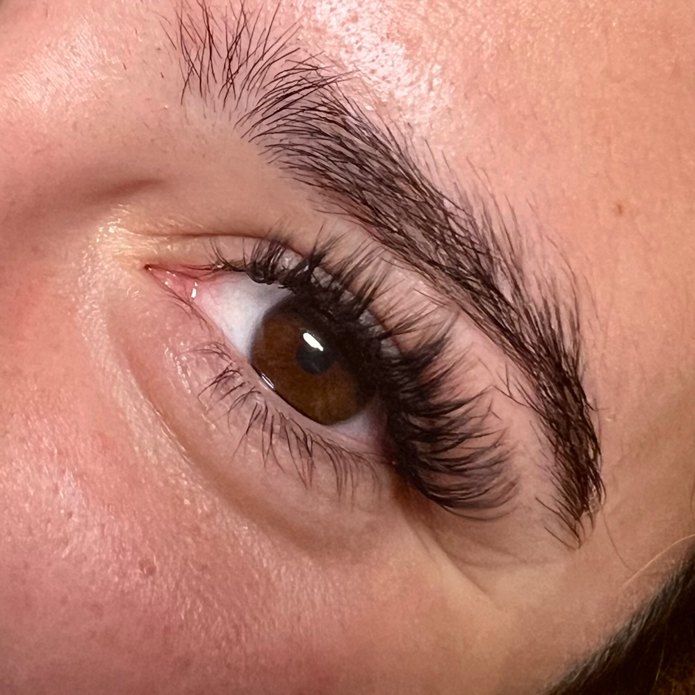 Hybrid Lashes