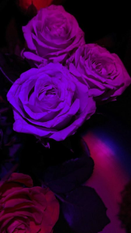 Intermediate & Maintenance