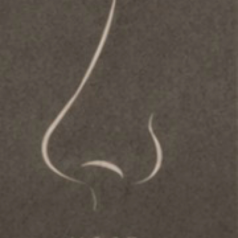 Nose at Elara Glow Studio in El Paso, TX