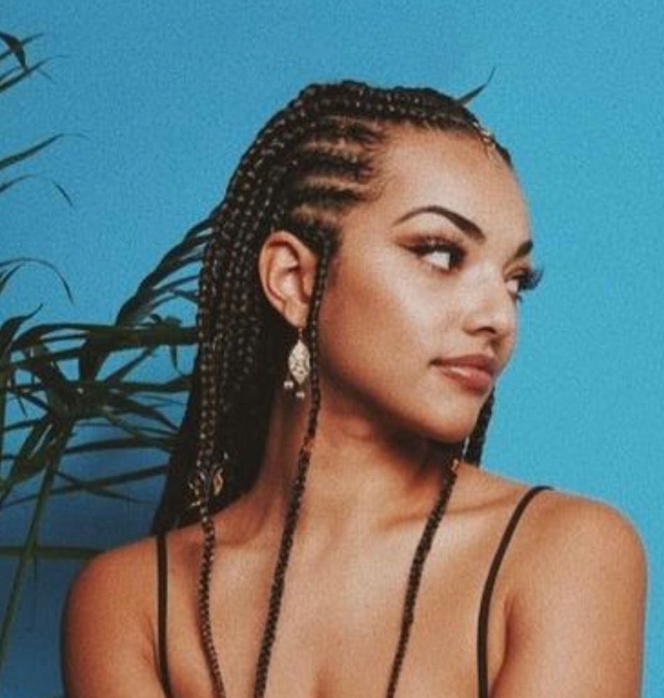 Fulani Braids With Hair Added