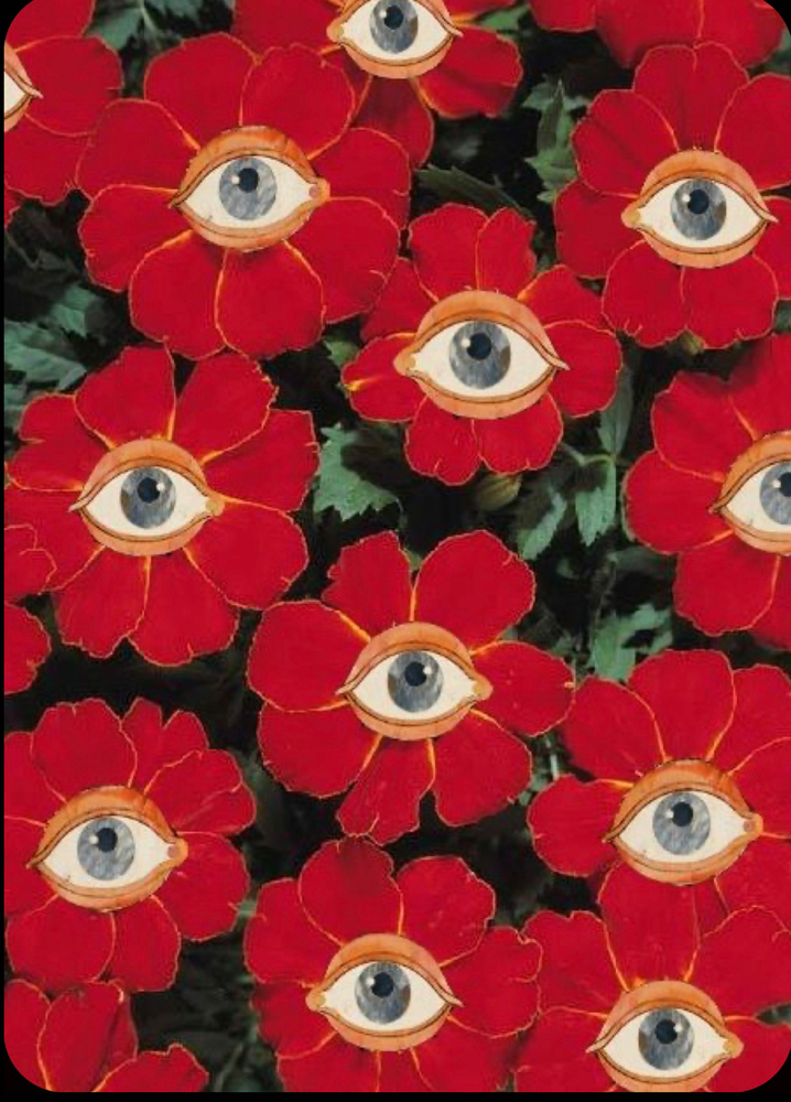 Vivid Color