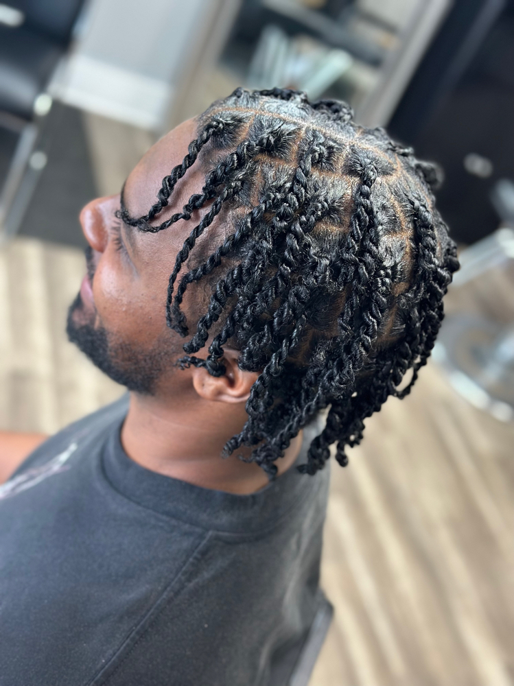 Mens Two Strand Twists
