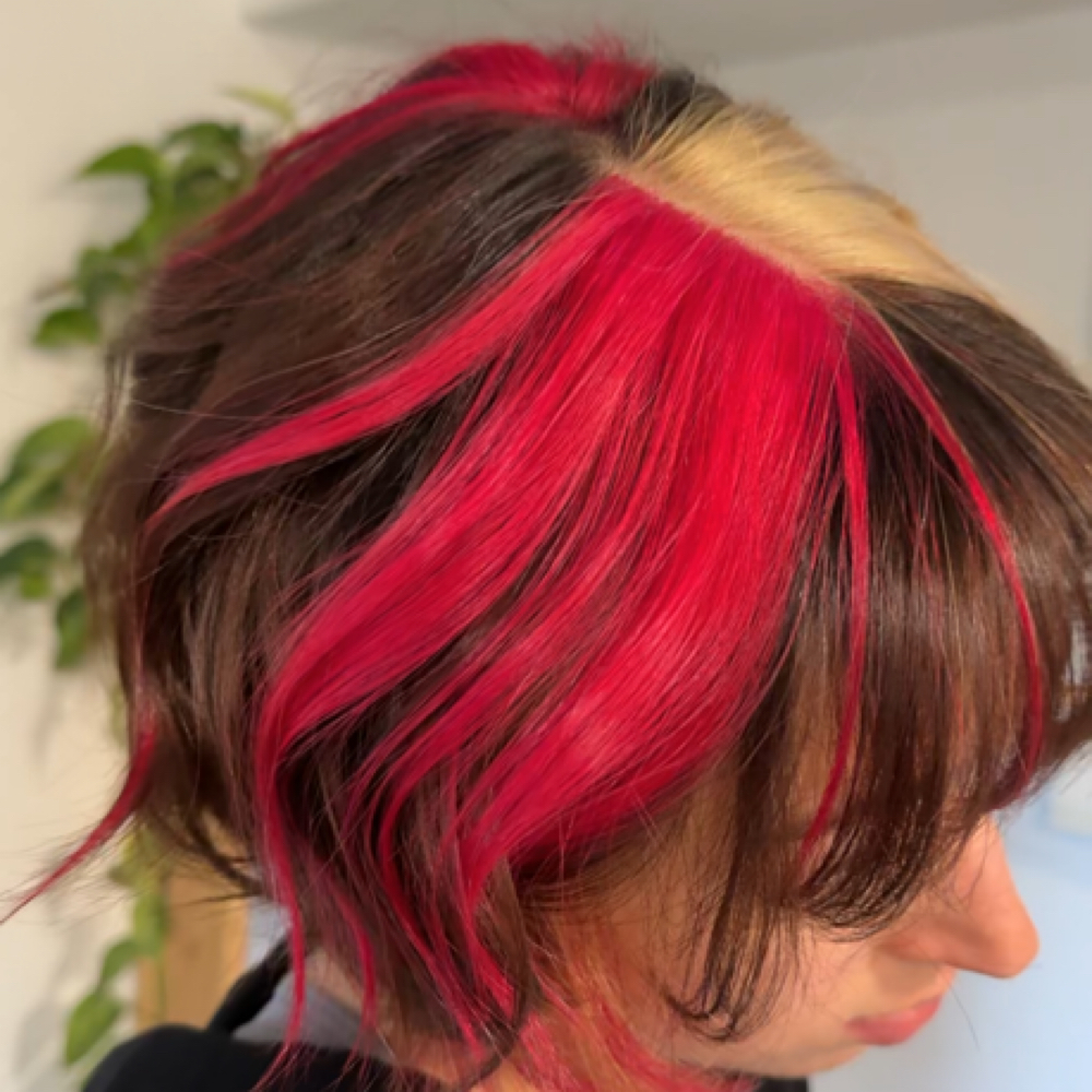 Block Color + Cut at Dani Gonz Hair Artistry in Colorado Springs, CO