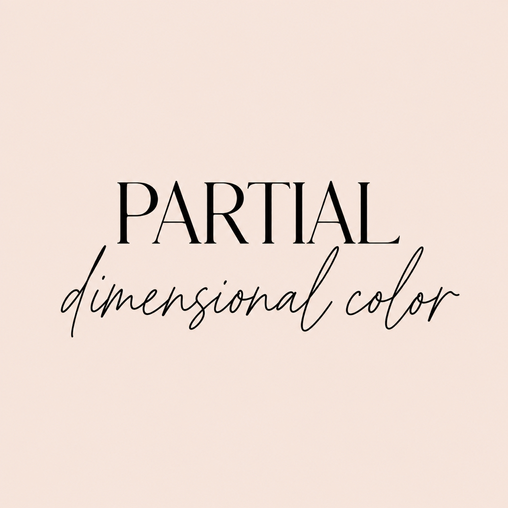 PARTIAL DIMENSIONAL COLOR at Hair By Mariah Ashley in Wyandotte, MI, MI