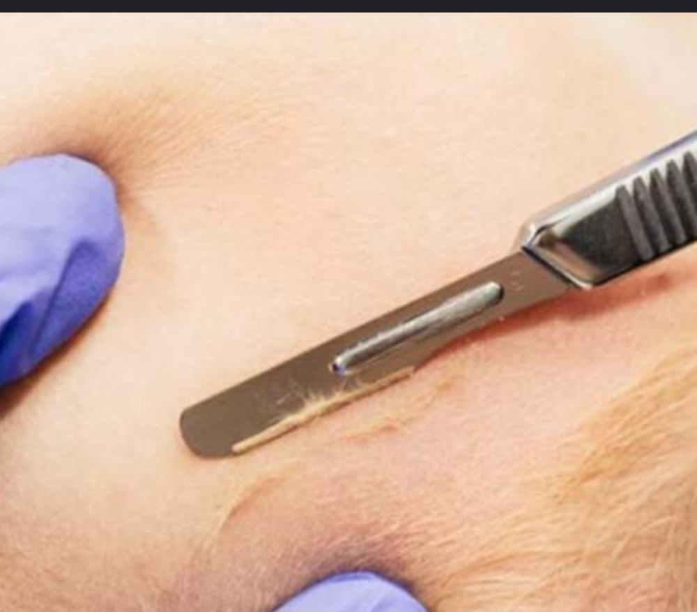 Dermaplane Add On