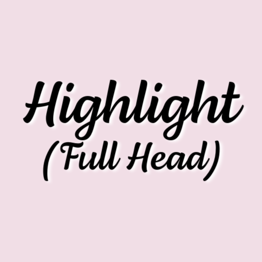 Highlight (Full Head) at Formosa Hair Studio in Erie, PA