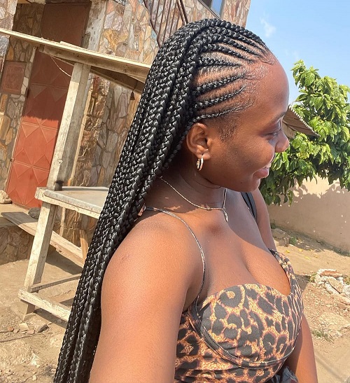 Half Braids/half Box Braids✨️ (MED)