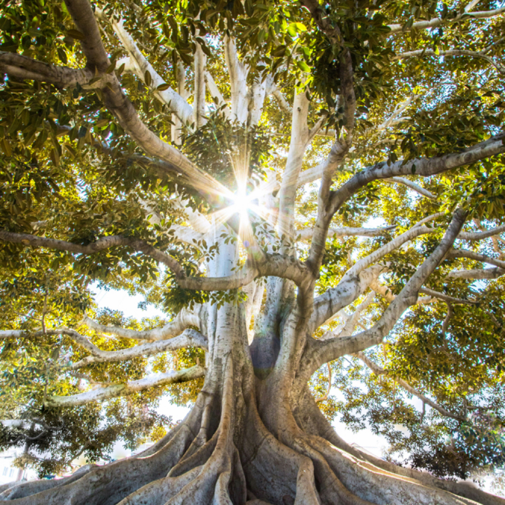 1 Hour Craniosacral at Aim True Healing & Wellness in Winchester, VA