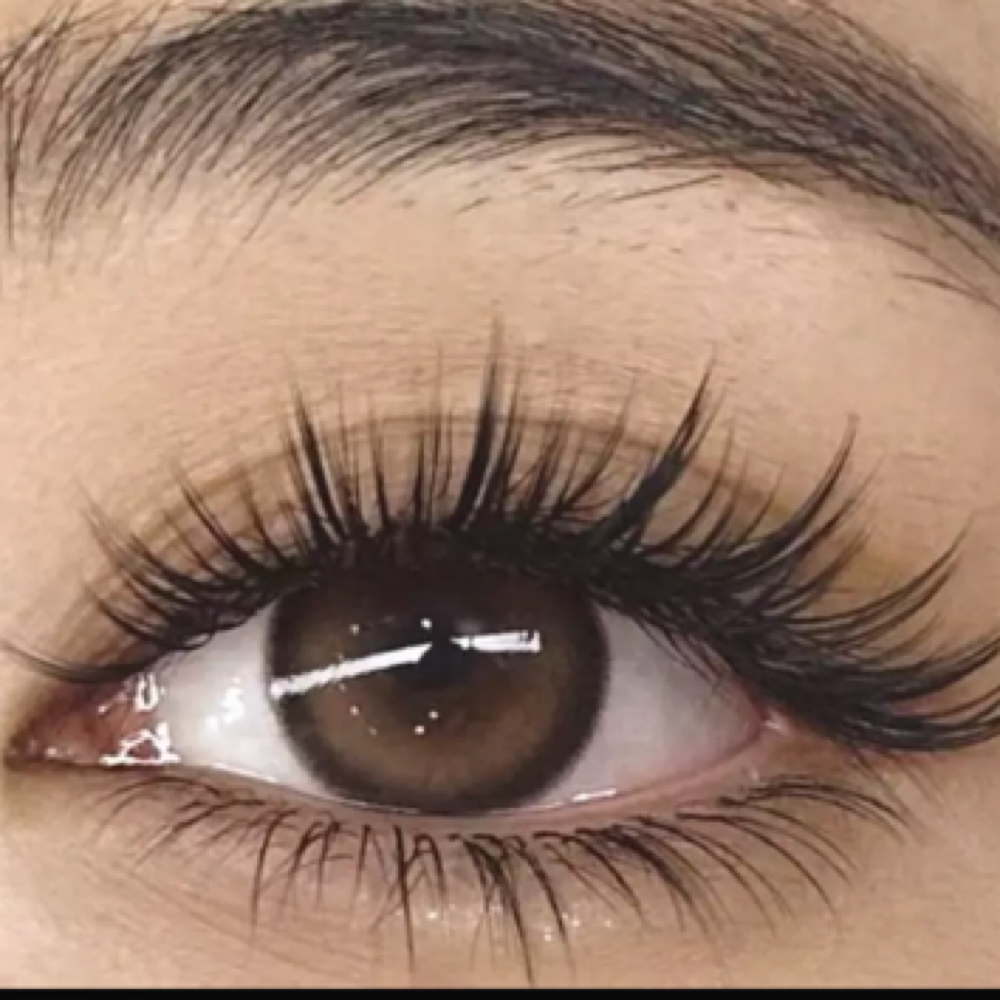 💎 Signature Wispy Set (Luxury Favo at So Pretti Experience in Decatur, IL