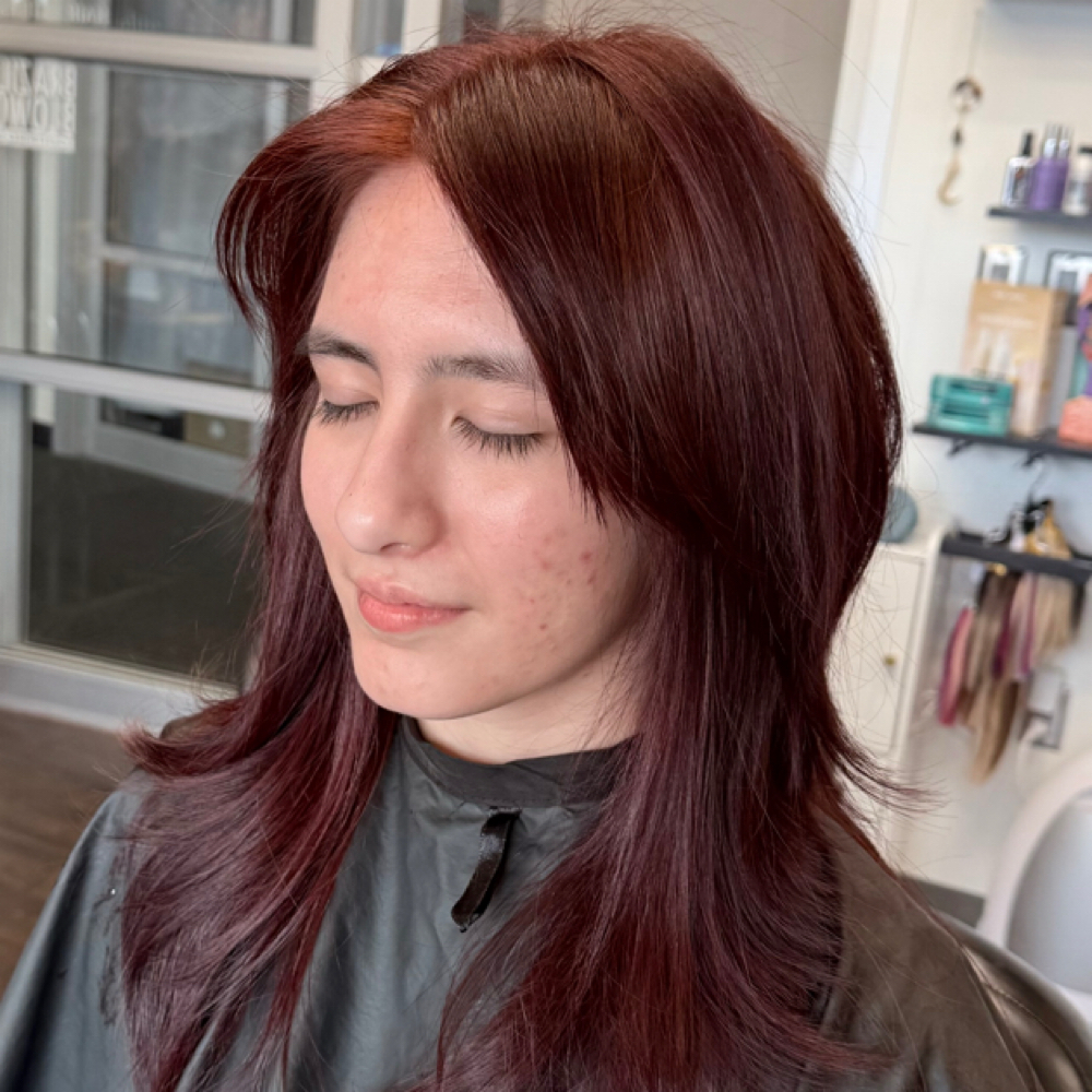 Root Color + Blowout at TrendzbyJennan in Lakemary, FL