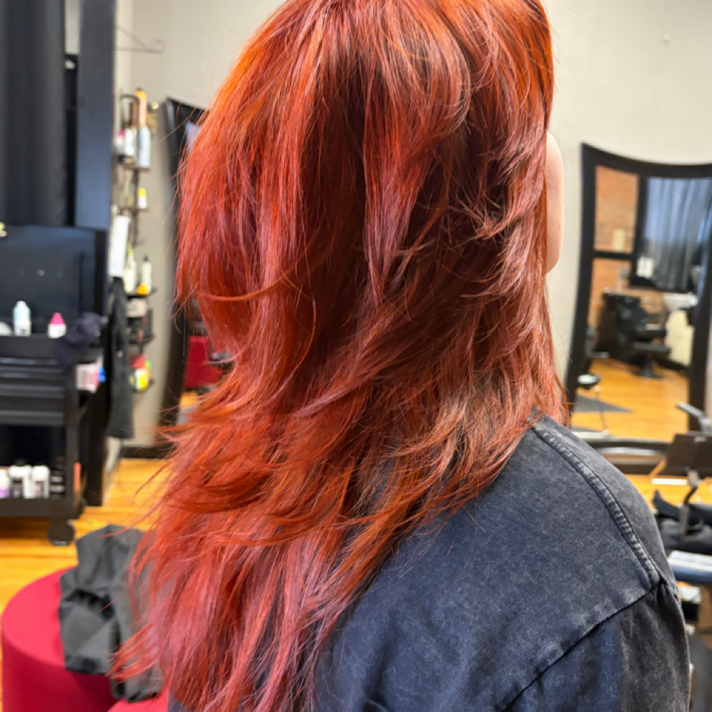 ** New Client Cut ** at Moss & Mirror LLC in Colorado Springs, CO