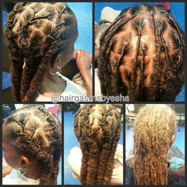 loc maintenance & Detox at Melissabraid in Chicago, IL