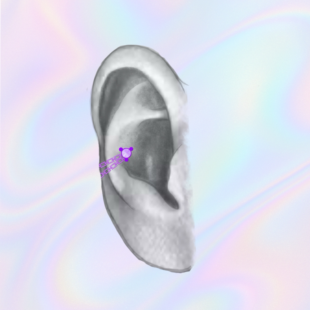 Conch at Opalescent Studio in Morgantown, WV