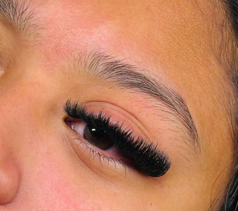 Love Bella Volume Set