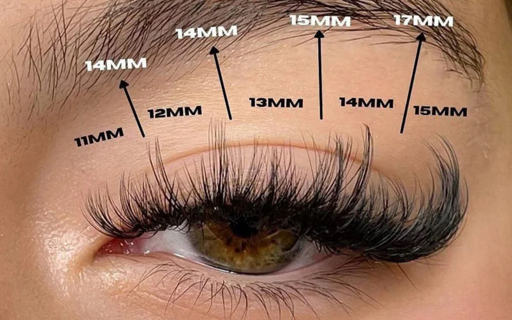 Wispy Or Wet Lash Extensions