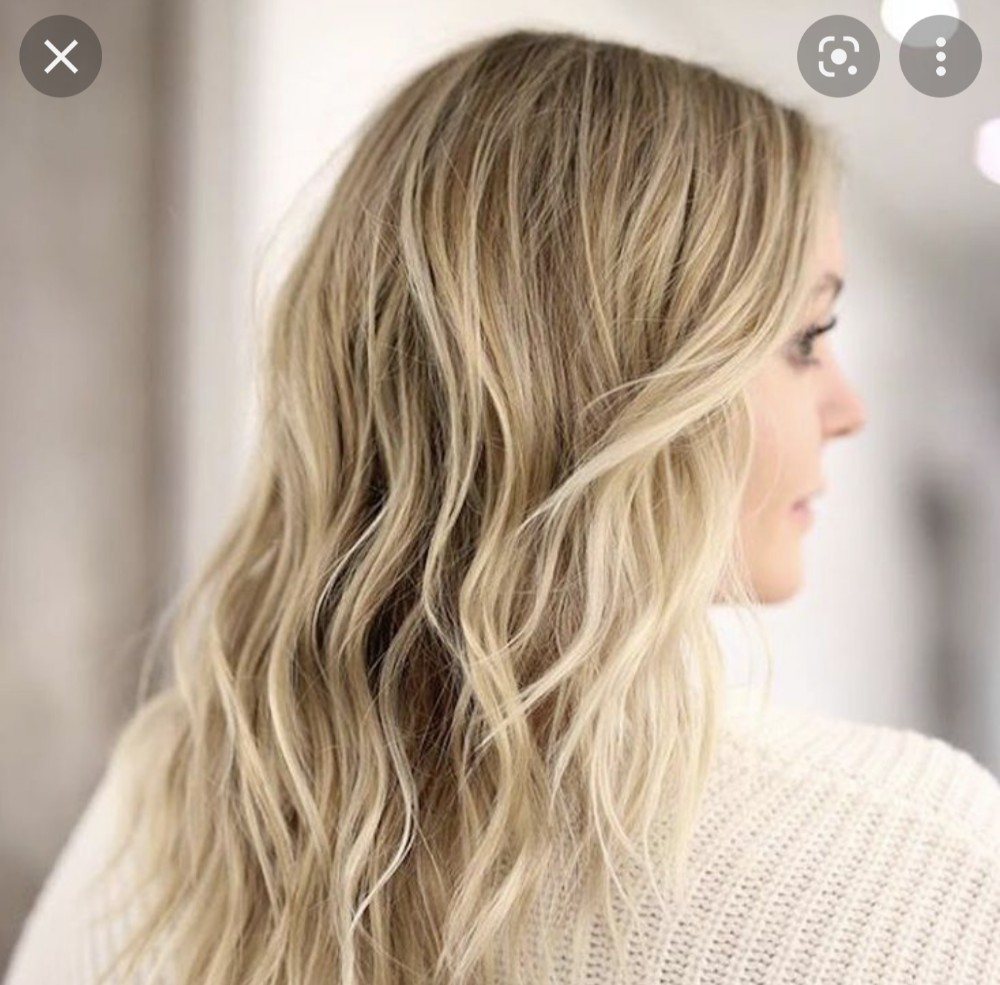 Base/Root & Partial Highlights