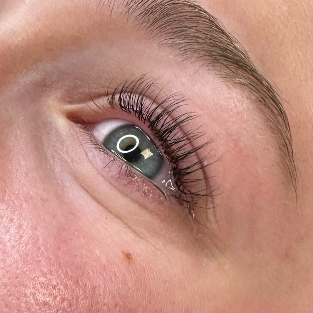 Lash Tint Only at Mantis Lashes in Sault Ste. Marie, MI