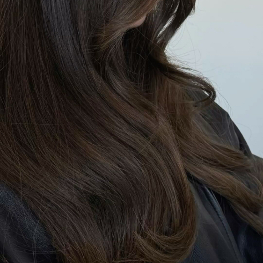 The Rich Brunette — Brunette Refres at Blonded & Co - Marissa Liberman in Chesterfield MO, MO