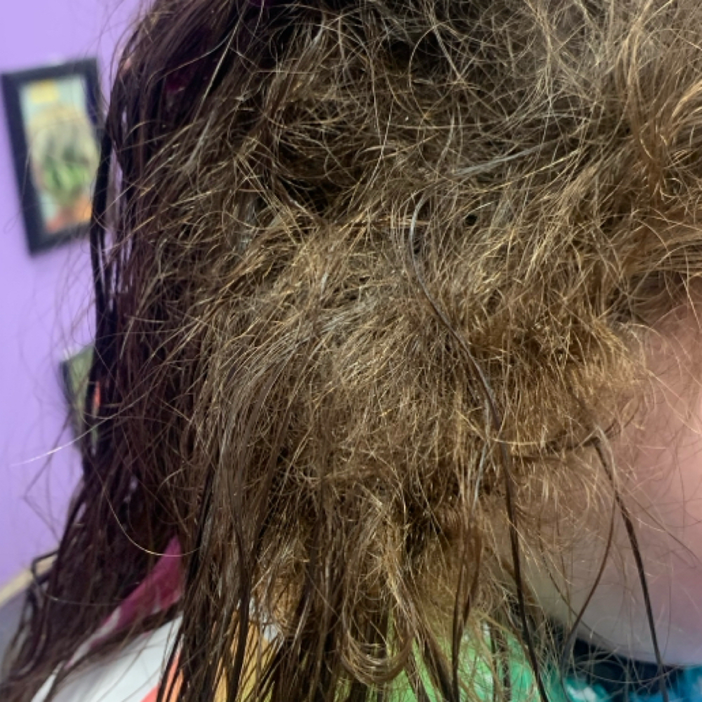 Detangling Fee at Serensnippity in Perrysburg, OH