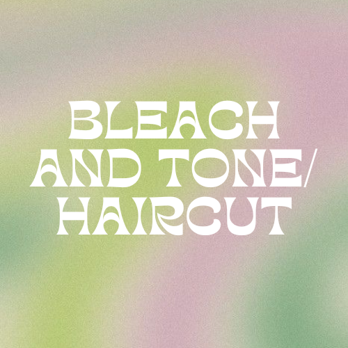 Bleach And Tone/ Haircut