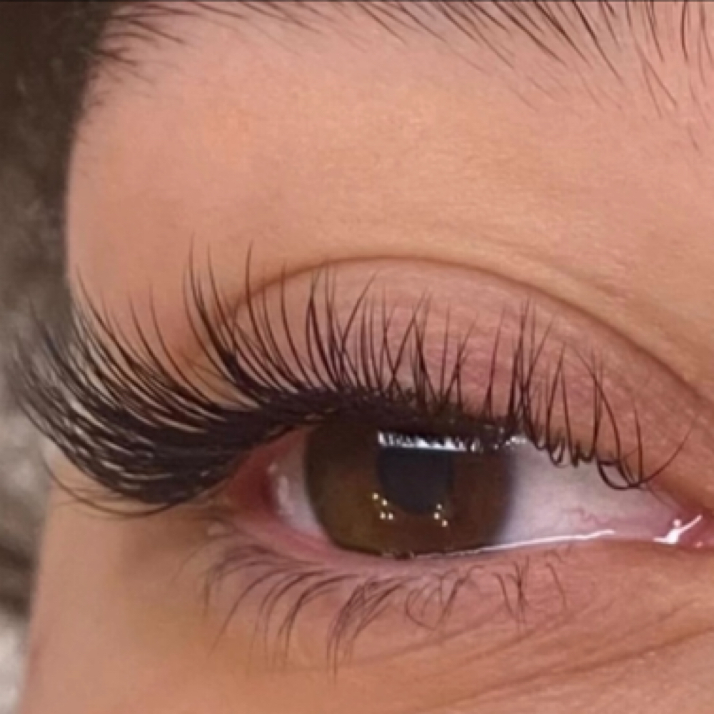 Classic Lash 2-3 Week Refill at The Lash Studio, LLC in North Branford, CT
