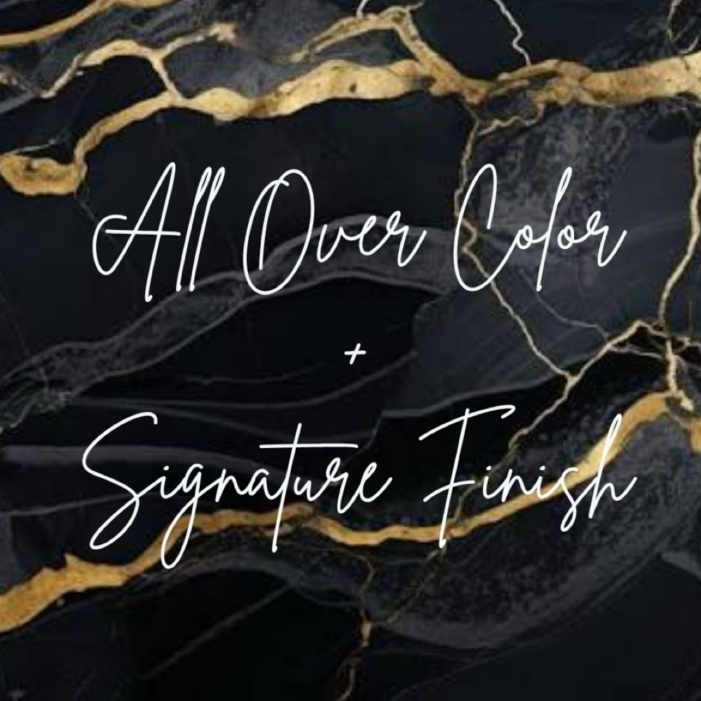 All Over Color + Signature Finish at The Saint James Hair Studio in Falls Church, VA