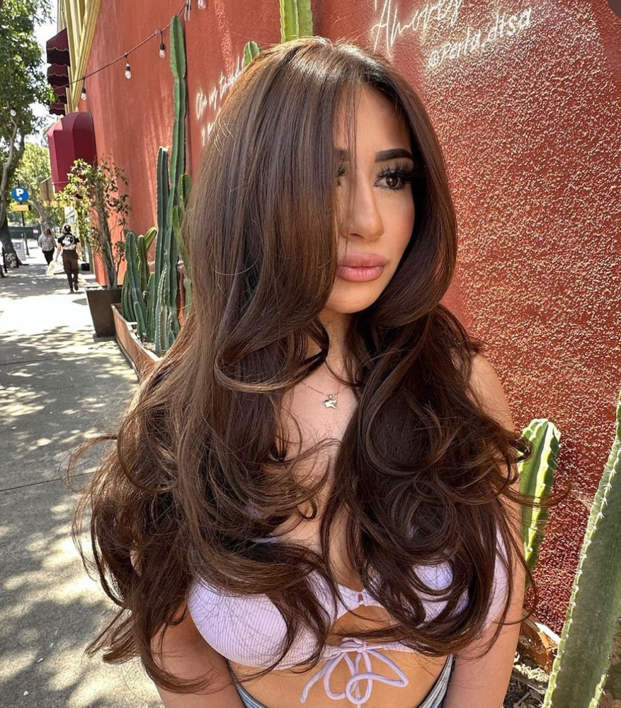 Root Touch Up
