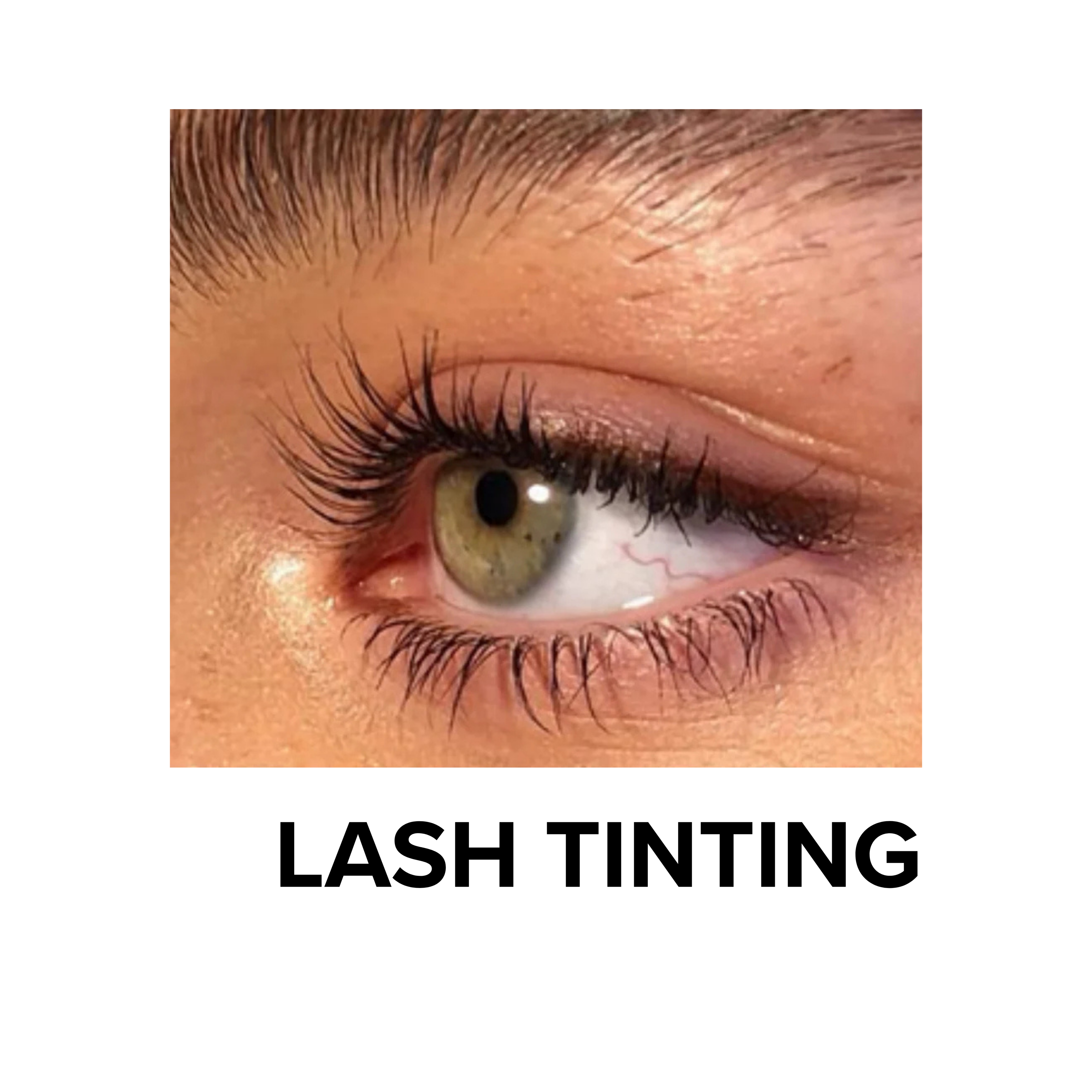 Lash Tinting + at GEM Beauty Bar in Cottonwood, AZ