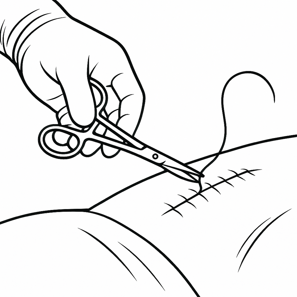 Surture Removal/Drainage