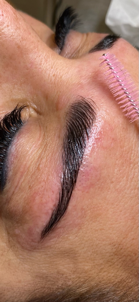 Brow Lam + Waxing + Tinting