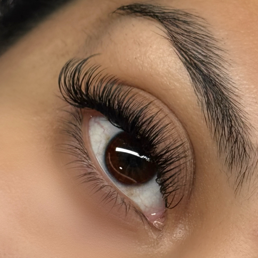 light volume at flutterxfer in Spring Valley, CA