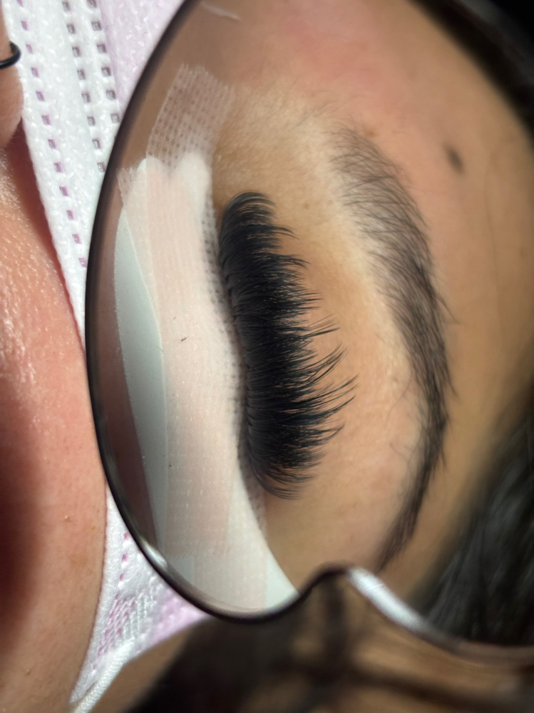 Lash Fill (12-18 Days)