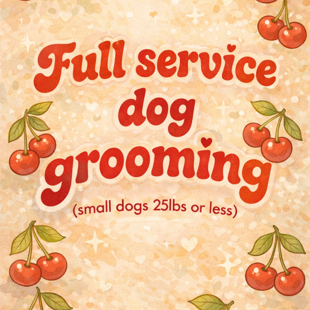 Full Service Grooming (small dogs) at Cherry Bow Dog Grooming in Alvarado, TX