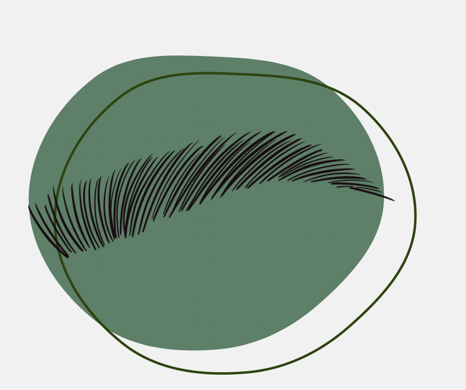 Brow Lamination