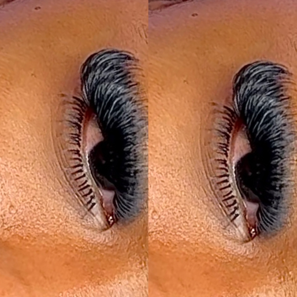 Bottom Lashes