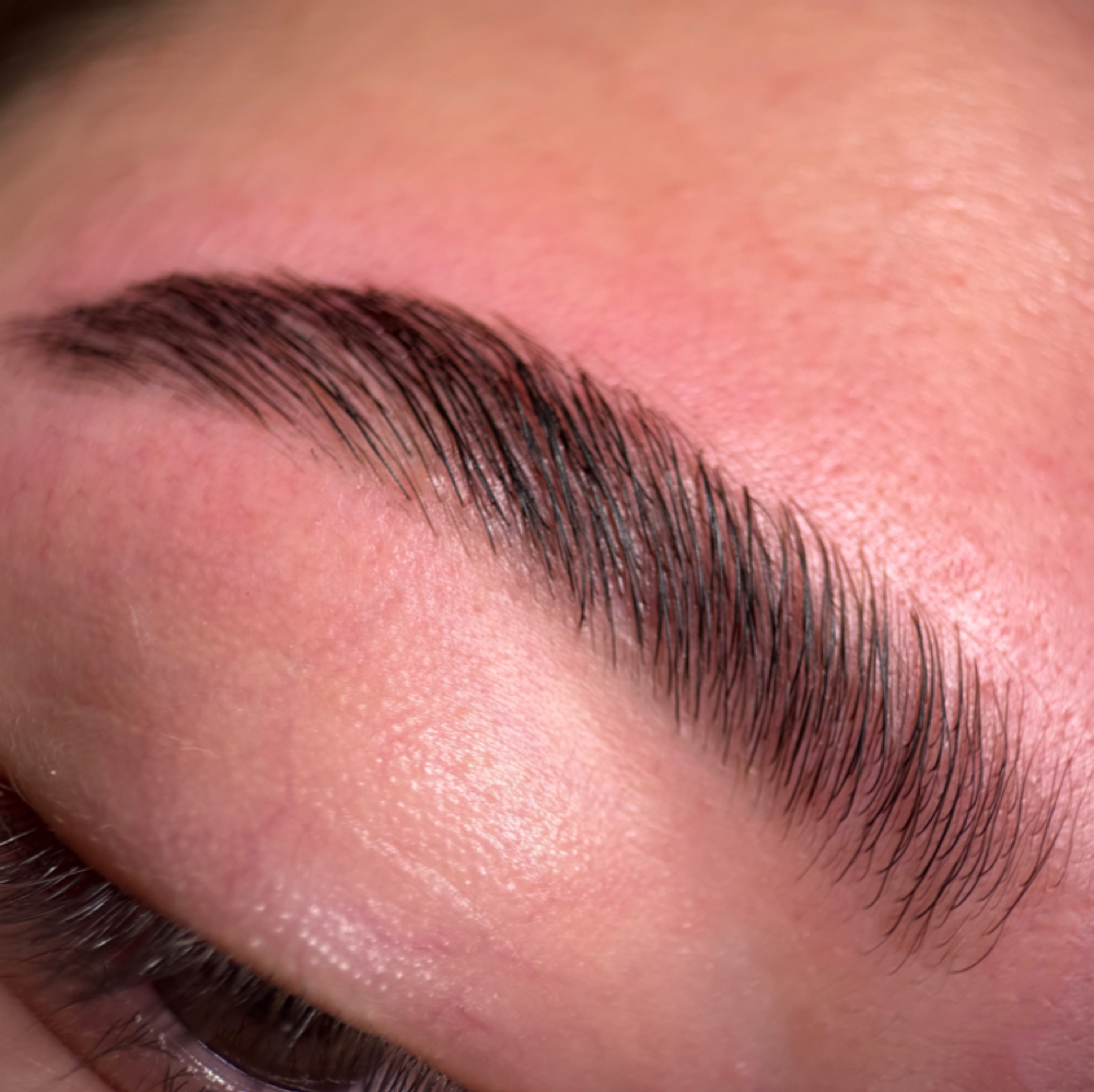 BROW LAMINATION , SHAPING & TINTING at lashluxenm in brooklyn, NY