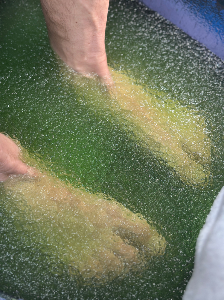 Basic Pedi (Express pedi/ Color Change)