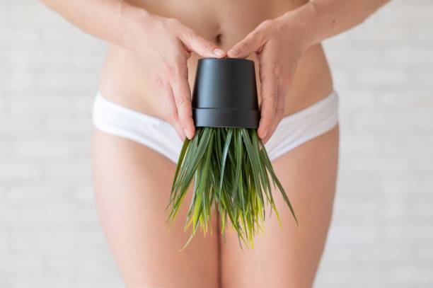 Brazilian Elegance (For Women)