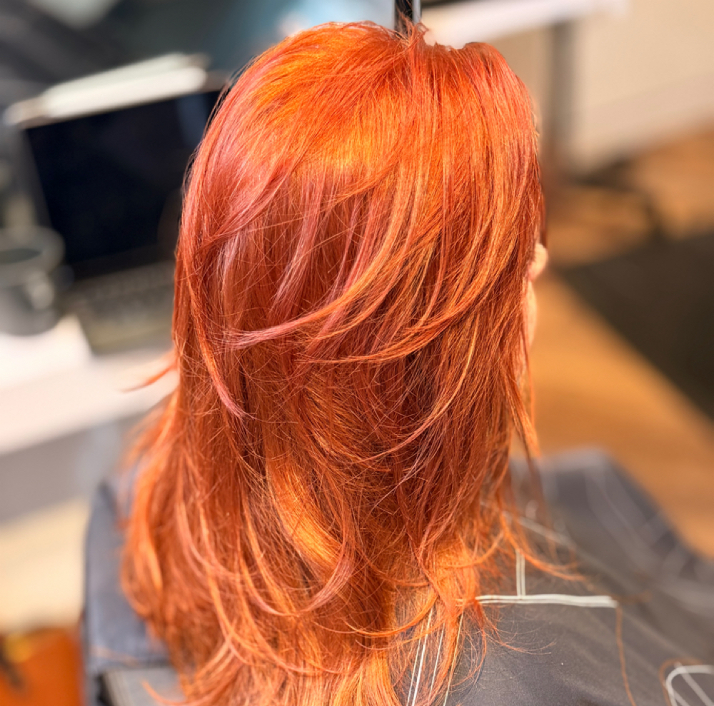 All Over Color & Signature Haircut at Alex Mackison in Denver, CO