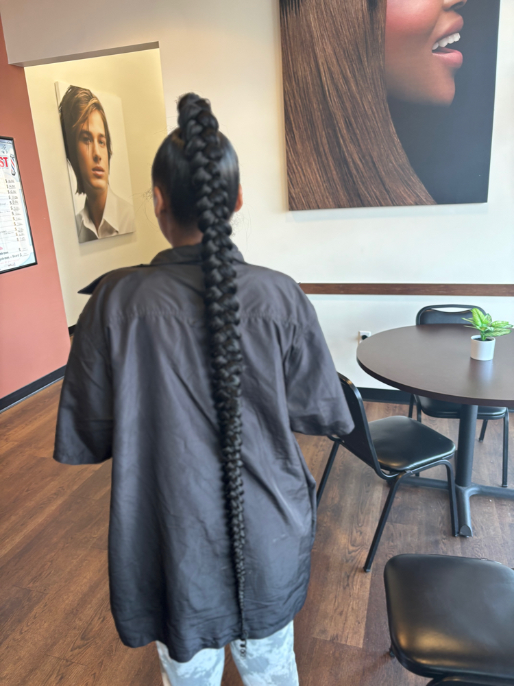 Sleek Braided Ponytail